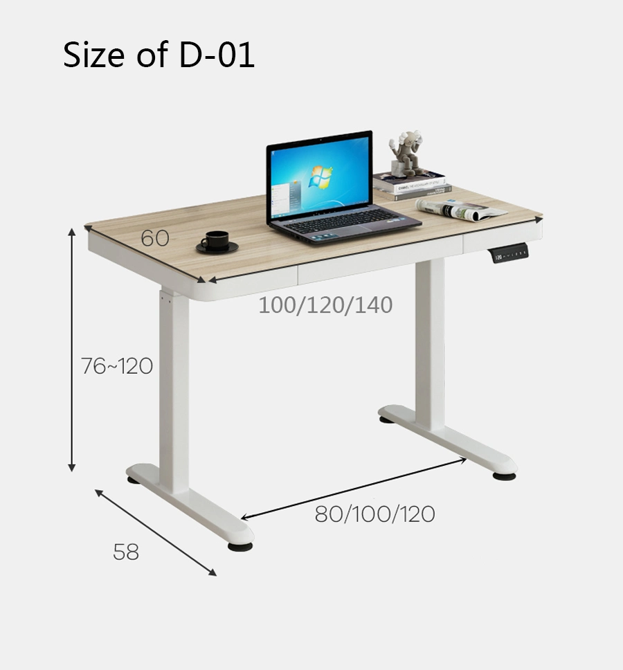 Sit Stand Electric Standing Height Adjustable Study Computer Desk